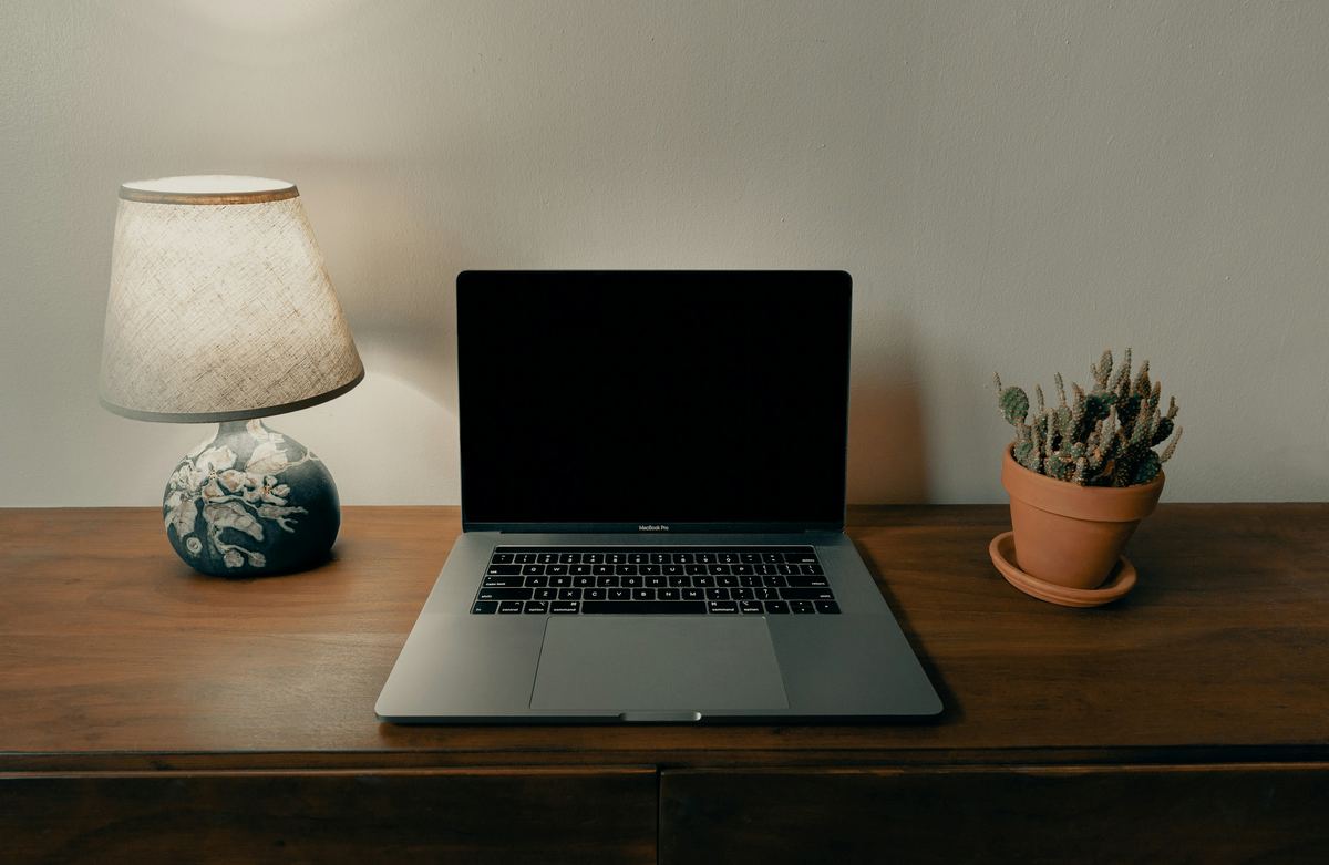 A laptop on a desk beside a lamp and a small plant