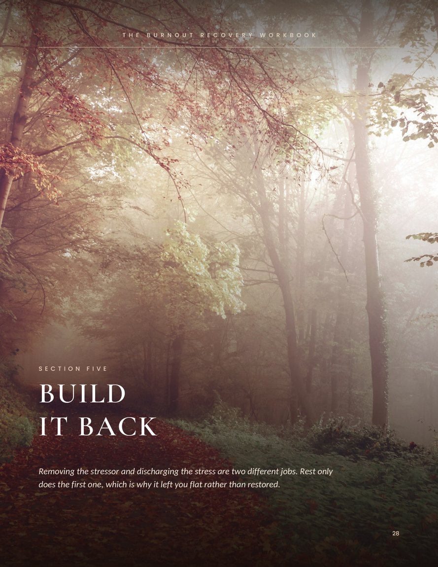 Section opener page: Build it back, over a misty forest path